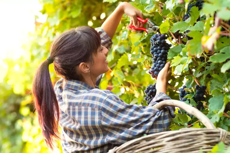 El Ministerio de Agricultura, Pesca y Alimentación convoca ayudas para asociaciones de mujeres en el ámbito rural  por 500.000 euros