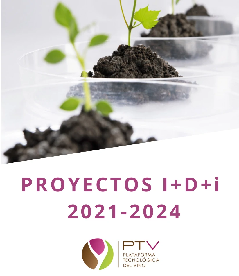 El sector vitivinícola español moviliza más de 100 millones de euros en innovación entre 2021 y 2024